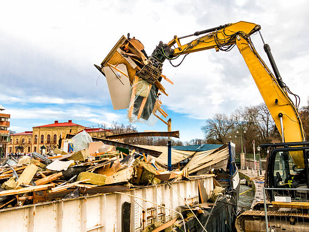 Yard Cleanup Services in Starkville, MS